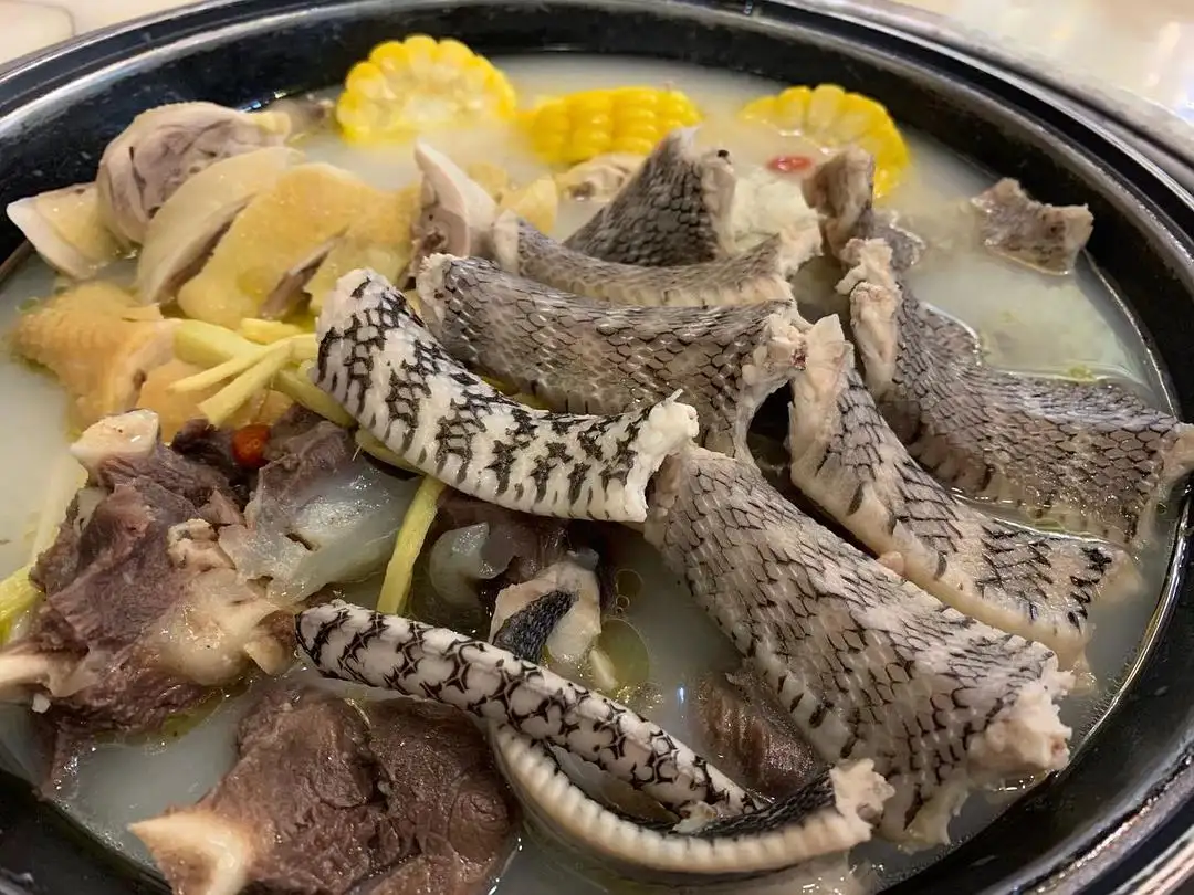 蛇汤.jpg