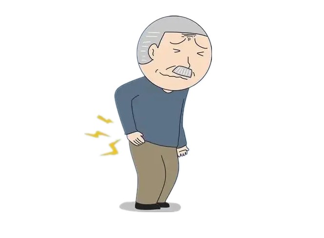 股骨头30.jpg
